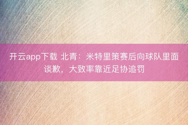 开云app下载 北青：米特里策赛后向球队里面谈歉，大致率靠近足协追罚
